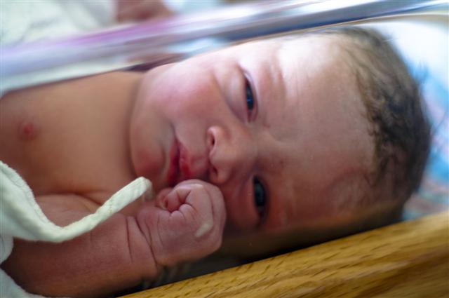 2 Hours Old